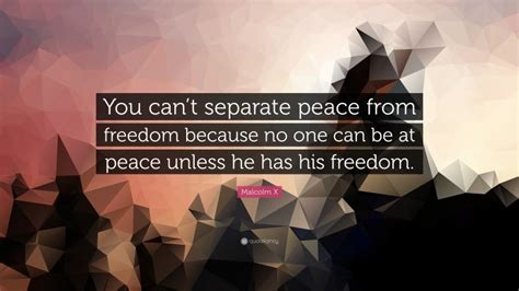 Malcolm X Quote “you Cant Separate Peace From Freedom Because No One