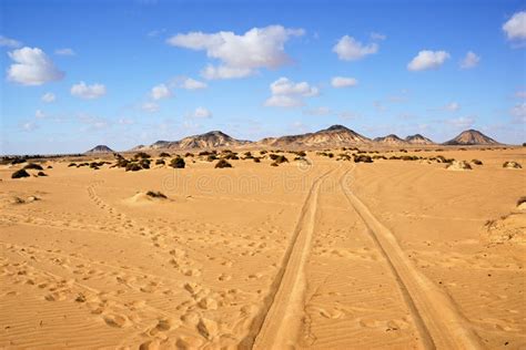 Sahara The Black Desert Egypt Stock Image Image Of African Nature