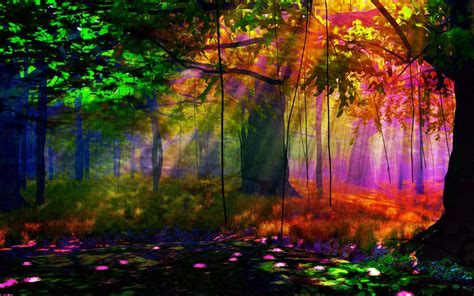 Forest Sunlight Colors Colors Earth Fall Forest Hd Wallpaper