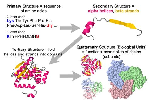 Check spelling or type a new query. User:Eric Martz/Introduction to Structural Bioinformatics ...