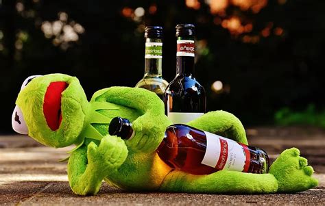 Kermit Frog Wine Drink Alcohol Drunk Rest Sit Figure Funny