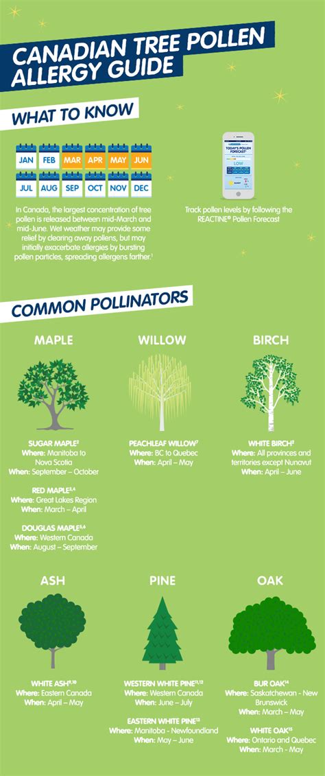 Canadian Tree Pollen Allergy Guide Reactine®
