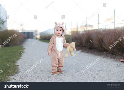 Adorable Baby Wearing Teddy Bear Costume Stock Photo 1859506981