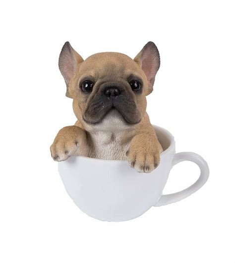 The teacup french bulldog / mini frenchie is a tough, smaller, stocky little pocket pup, with a huge square head that has an adjusted temple. French Bulldog Puppy Dog Teacup Pet Pal Collection ...