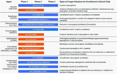 New Antifungal Drugs In The Clinical Pipeline Antifungals That Are