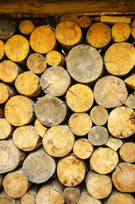 Wooden Round Shaped Timber Under A Canopy Stock Photo Image Of
