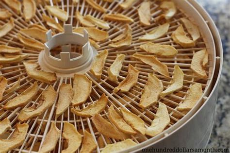 At the end of this time, your tattoo. How To Dehydrate Apples With A Food Dehydrator - One ...