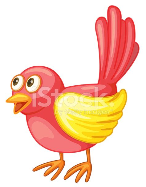 Red Bird Stock Photo Royalty Free Freeimages