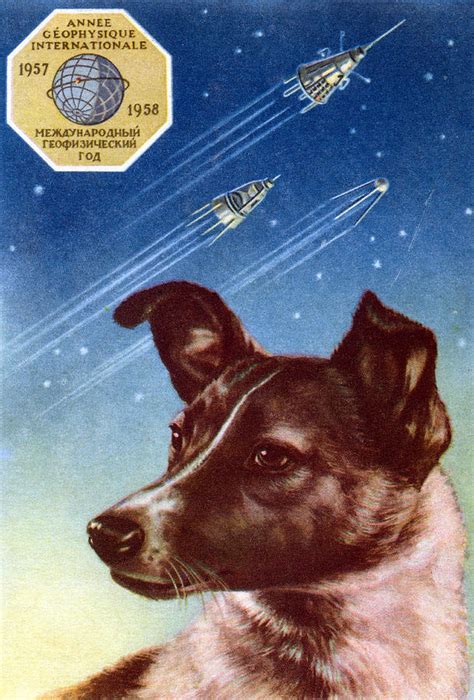 When Did Laika The Dog Go To Space