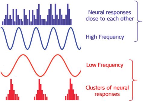Low Frequency Sound Signals In The Cochlear Apex Produce Clusters Of