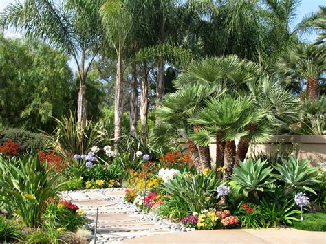 Lush Desert Tropical Landscaping With Lots Of Color And Variation