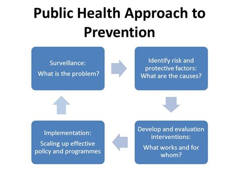 Public Health Approach Nnedv