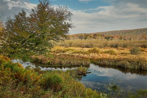 Morning On The Blackwater River Canaan Valley West Virgini Flickr