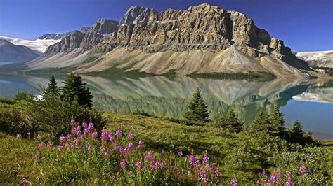 Bow Lake Banff Natl Park Canada 1920 X 1080 Canada National Parks