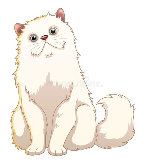 Persian Cat Cartoon Animal Illustration Stock Illustration