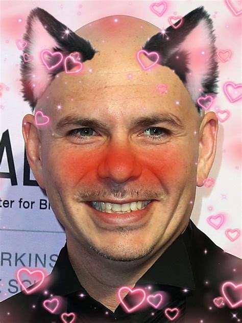 Catboy Pitbull In 2021 Pitbull The Singer Funny Video Memes