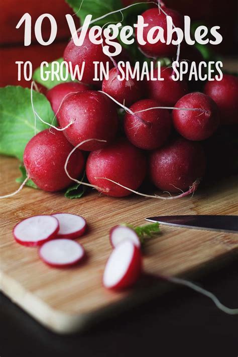 Gardening In Small Spaces 10 Best Vegetables To Grow
