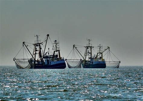 Entra En Vigor El Primer Tratado Mundial Contra La Pesca Ilegal Tys