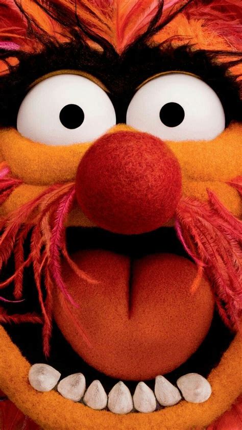 The Muppets Animal Go Wallpapers Animal Muppet The Muppets