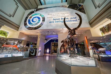 New Dino Hall “deep Time” Opens At The Smithsonians National Museum Of