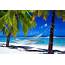 Tropical Beach Island Nature Relax Exotic