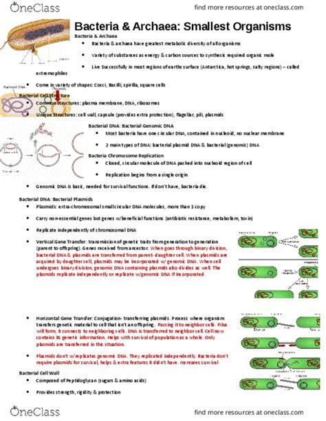 Biol Lecture Notes Fall Lecture Electrochemical