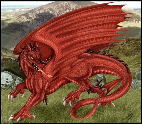 Welsh Dragon By Drakainaqueen On Deviantart