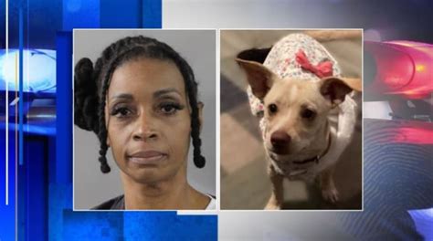 Florida Woman Arrested After Allegedly Poisoning Her Neighbors Pets