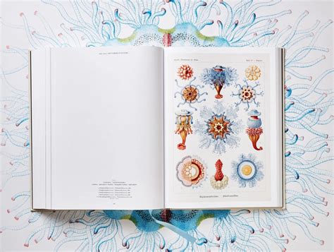 Taschen Books The Art And Science Of Ernst Haeckel