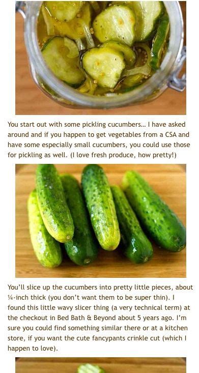 The Best Pickle Recipe Ever 😊 Pickling Recipes Recipes Best Pickles