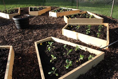 They'll help keep the walls from bowing outward. organic garden | cabinorganic