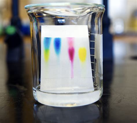 Thin Layer Chromatography The Official Blog Of Edvotek