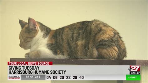 Humane Society Of Harrisburg In Need Of Donations Ahead Of Saturdays