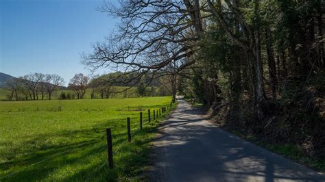That way you are a mile away from him and you have his shoes. Meanderthals | Walking the Cades Cove Loop Road, Great ...