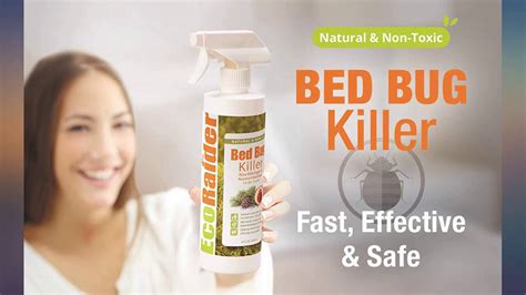 Ecoraider Bed Bug Killer Spray 16 Oz Green Non Toxic 100 Kill