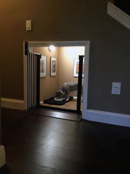 top   dog room ideas canine space designs