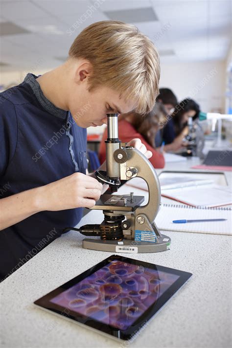 Student Using Microscope In Class Stock Image F0066916 Science