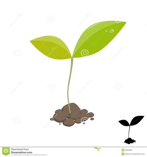 Simple Sprouting Seed Drawing Green Cartoon Sprout Vector Clip Art