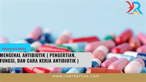 Mengenal Antibiotik Pengertian Fungsi Dan Cara Kerja Antibiotik Vrogue