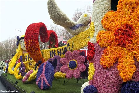 It isn't that pensiveness is necessarily the wrong note for a. Spring Festivals Around The World - XciteFun.net