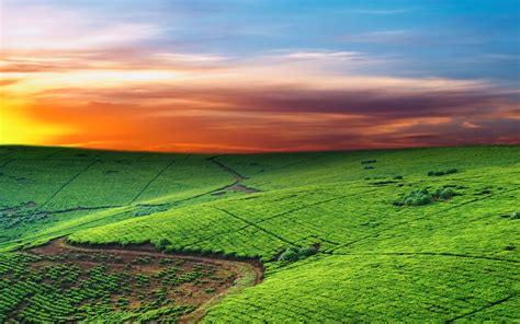 Best Landscapes Wallpaper Pack 2560x1600 Pack 1 Hd Wallpapers