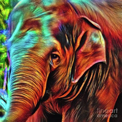 Elephant Abstract Psychedelic By Kaye Menner By Kaye Menner Animal