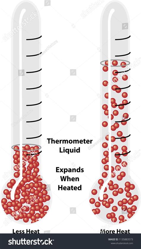Thermal Expansion Of Liquid Science Diagram Illustrating Thermal