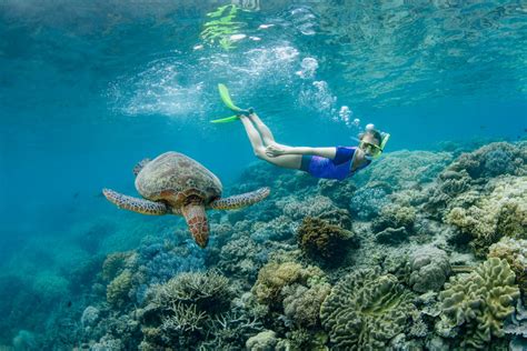 16 Things To Do Your First Time In Cairns Cairns And Great Barrier Reef