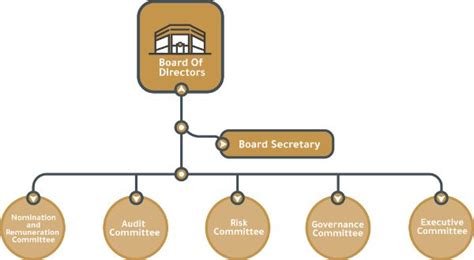 Board Committees