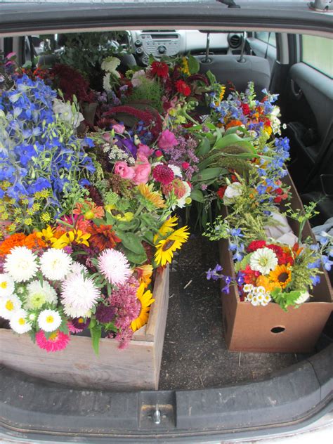We did not find results for: Bulk flowers and bouquets loaded for delivery | Flowers ...