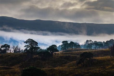Our Pick 16 Of Scotlands Finest Native Forests Walkhighlands