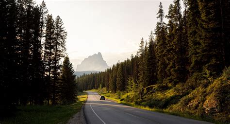 Drive The Bow Valley Parkway Banff And Lake Louise Tourism
