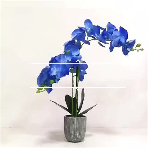 Factory Direct Blue Silk Artificial Phalaenopsis Orchids Flower In