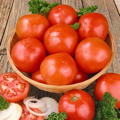 Tomato Celebrity Hybrid Vffnt Seeds